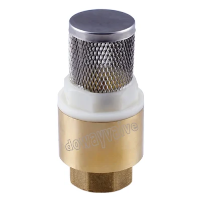 Forged Brass Non Return Spring Check Valve Inline Plasted in Polymer