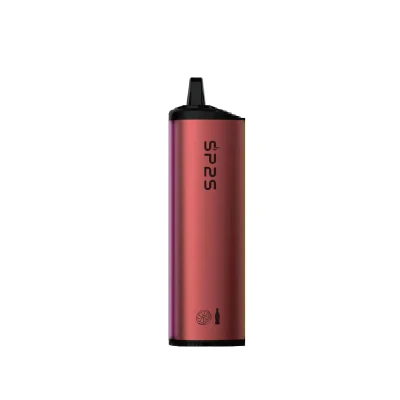 Sp2s 10ml E-Liquid 6000puffs Disposable Vape Rechargeable Electronic Cigarette
