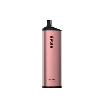 Sp2s 10ml E-Liquid 6000puffs Disposable Vape Rechargeable Electronic Cigarette