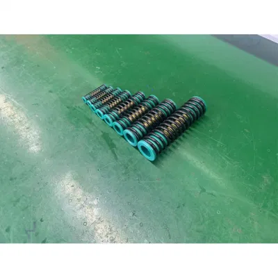 Chinese Manufacturers 55crsi Material Springs for Pneumatic Actuator