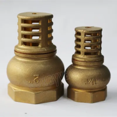 High Quality 200 Wog Check Valve Brass Foot Valve