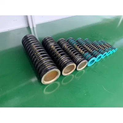 Chinese Manufacturers 55crsi Material Springs for Pneumatic Actuator
