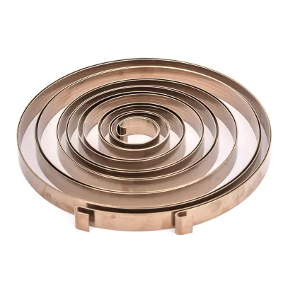 Electrophoresis Black Carbon Cteel Music Wire Flat Coil Clock Springs Torsion Spiral for Door Handle
