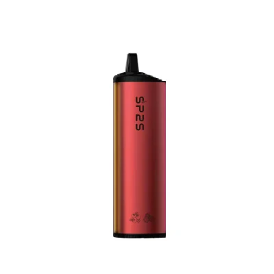 Sp2s 10ml E-Liquid 6000puffs Disposable Vape Rechargeable Electronic Cigarette