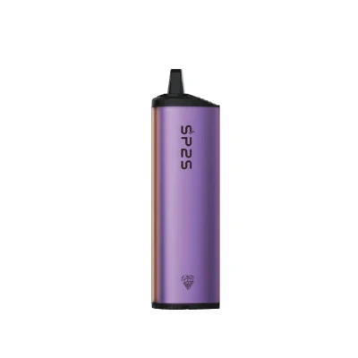 Sp2s 10ml E-Liquid 6000puffs Disposable Vape Rechargeable Electronic Cigarette