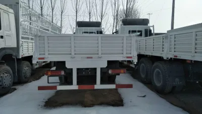 Sinotruk HOWO 6X6 Cargo Truck Heavy Truck