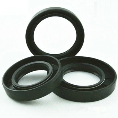 Rubber Mechanical Seal Double Lip Metal Spring Rotary Shaft Metric Tc Oil Seal Dust Seal