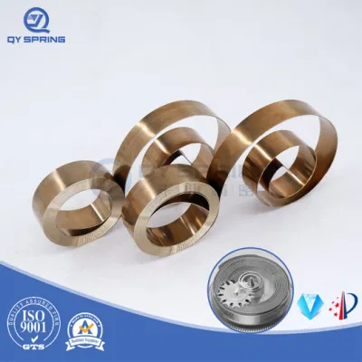 Power Spring for Spring Barrel with CE Certification