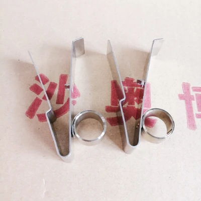 Stainless Steel Constant Force Spring for Carbon Brush with Holder