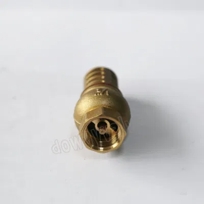 China Factory Customized Hot Forgen DN 15 to DN 100 with Brass Filter Brass Foot Valve