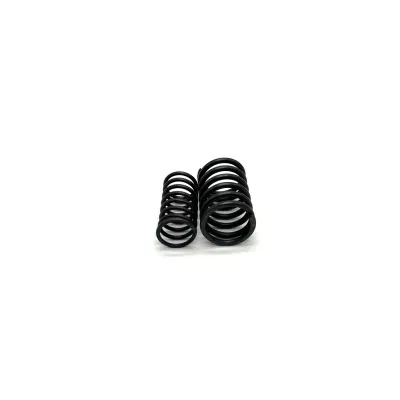 Outlet Valve/ Parts/ Valve Spring