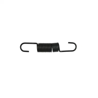 Diesel Engine spare Parts air cooled spring