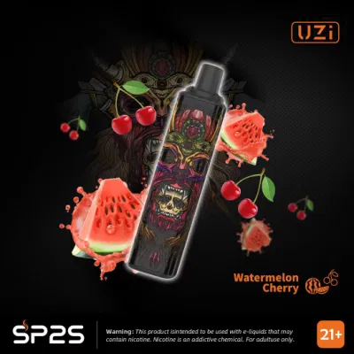 Hot Selling Sp2s Adjustable Airflow 2% Nicotine Mesh Coil Disposable Vape
