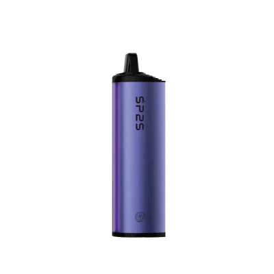 Sp2s 10ml E-Liquid 6000puffs Disposable Vape Rechargeable Electronic Cigarette