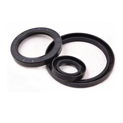 Automotive Hydraulic Skeleton Oil Seal Double Lip Rotary Shaft Oil Seal