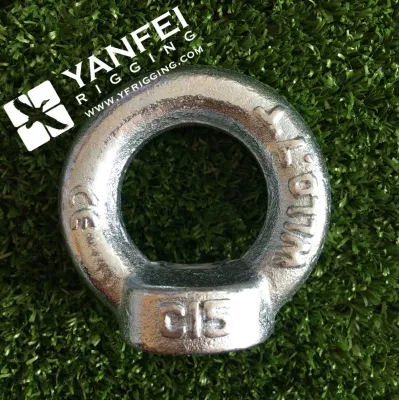 Wholesale Hardware Rigging DIN580 Carbon Steel Drop Forged Galvanized Lifting Eye Bolt with Metric Thread