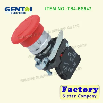 1no 1nc 22mm Flush Push Spring Return Push Button