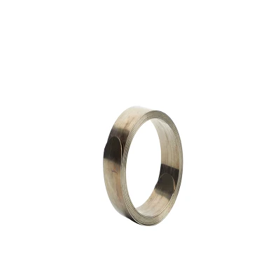 Stainless Steel Constant Force Cable Roll Joint Spring for Cable Grounding