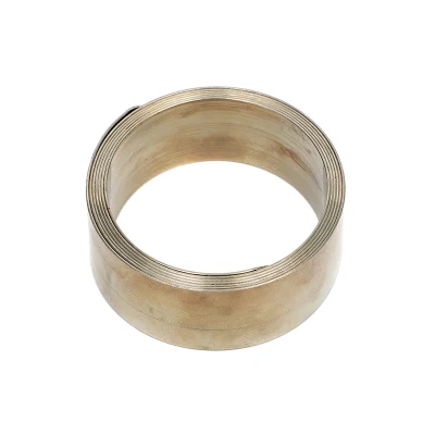 Stainless Steel Constant Force Cable Roll Joint Spring for Cable Grounding