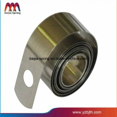 Stainless Steel Leaf Spring for Garlic Pepper Ginger Food Chopper