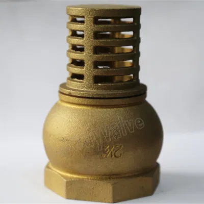 China Factory Customized Hot Forgen DN 15 to DN 100 with Brass Filter Brass Foot Valve