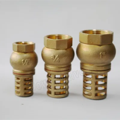 China Factory Customized Hot Forgen DN 15 to DN 100 with Brass Filter Brass Foot Valve