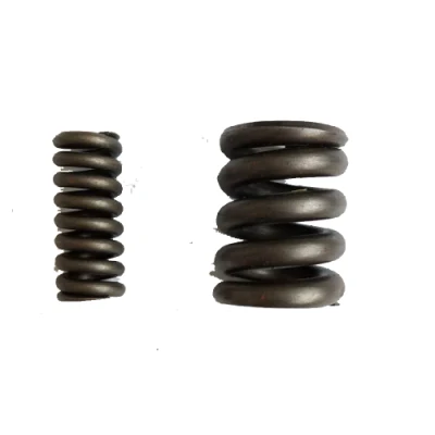 Oil Pump Bypass Valve Spring
