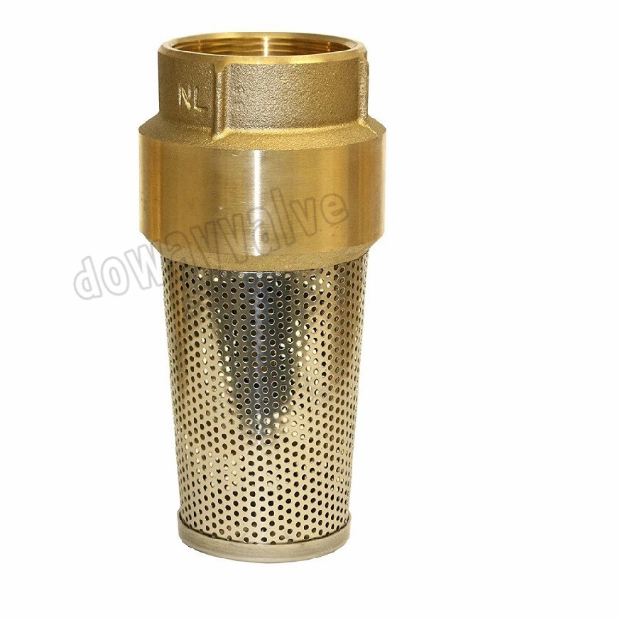 China Factory Custom Forged Brass Spring Check Valve with Filter