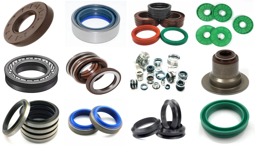 Hydraulic Seals Oil Seal O Ring Cylinder Piston Rod Seal