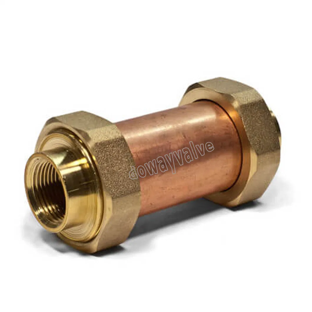 Cast Bronze Union Female Inlet Dual Check Valve