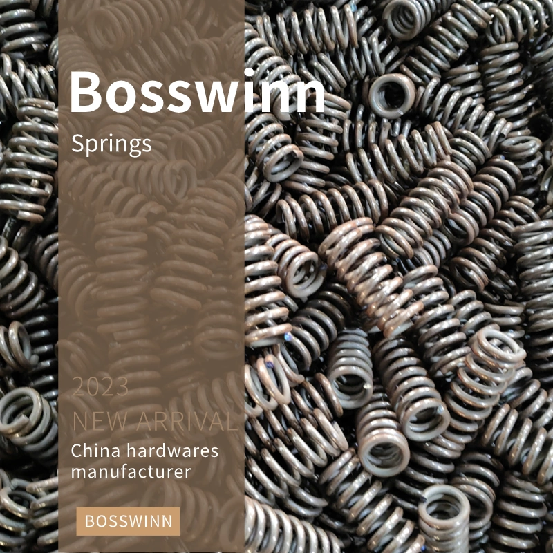 Bosswinn China Front Conventional Coil Spring