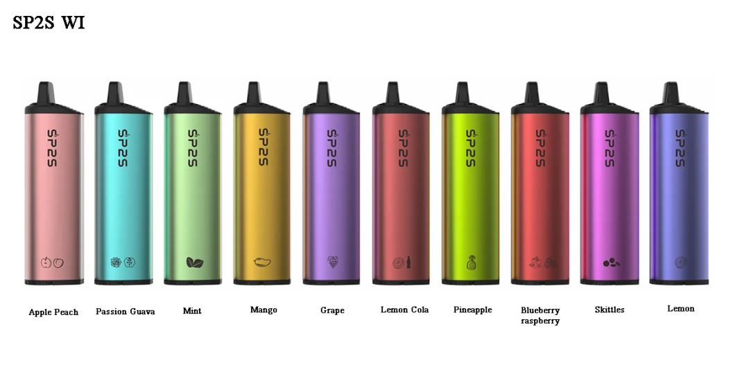 Sp2s 10ml E-Liquid 6000puffs Disposable Vape Rechargeable Electronic Cigarette