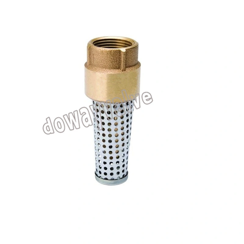 China Factory Custom Forged Brass Spring Check Valve with Filter