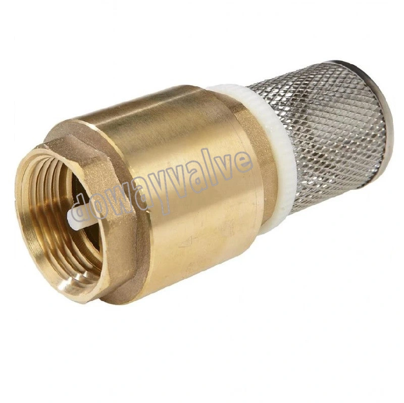 China Factory Custom Forged Brass Spring Check Valve with Filter