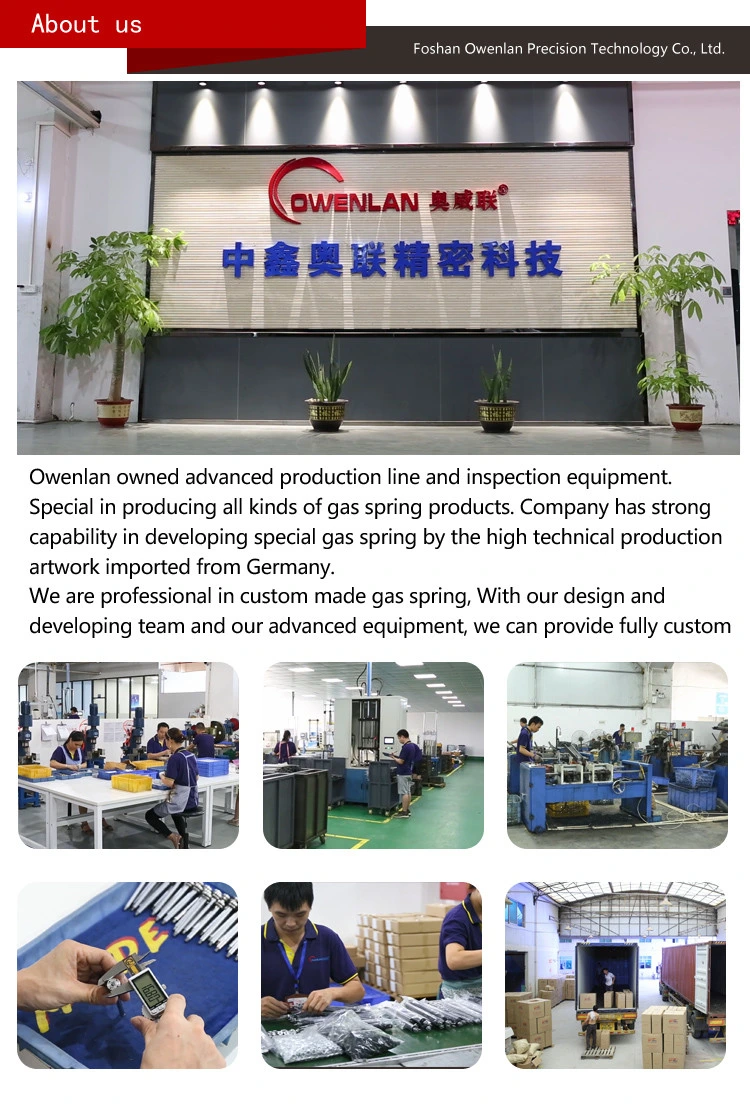 Owenlan Lift Gas Spring for Automatic Industry and Equipment