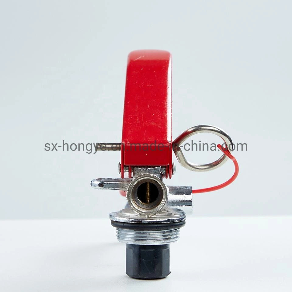 Dry Powder Chemical Fire Extinguisher Valve Portable M30X1.5 with Safety Device