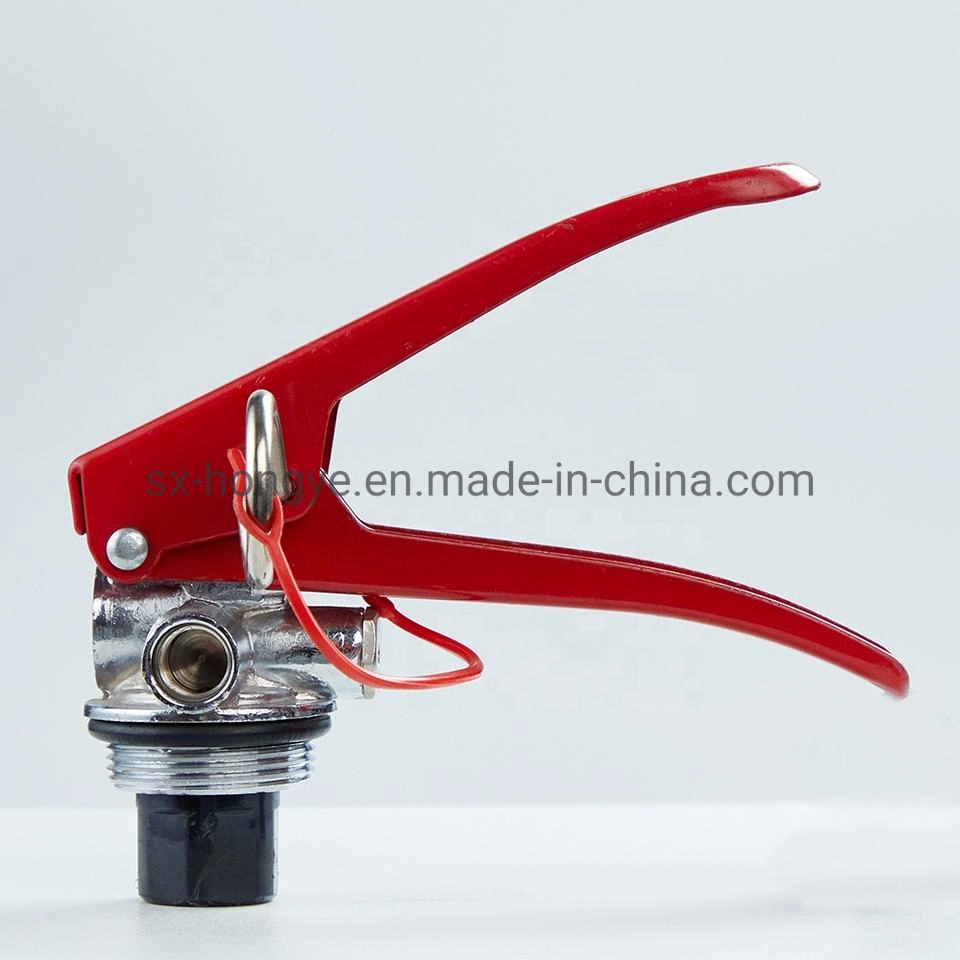 Dry Powder Chemical Fire Extinguisher Valve Portable M30X1.5 with Safety Device