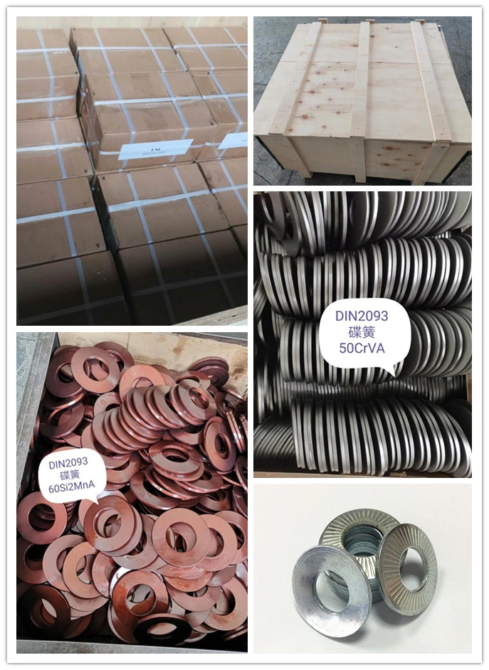 Cup Spring Washer Disc Springs Standard Conical Spring Manufacturer.