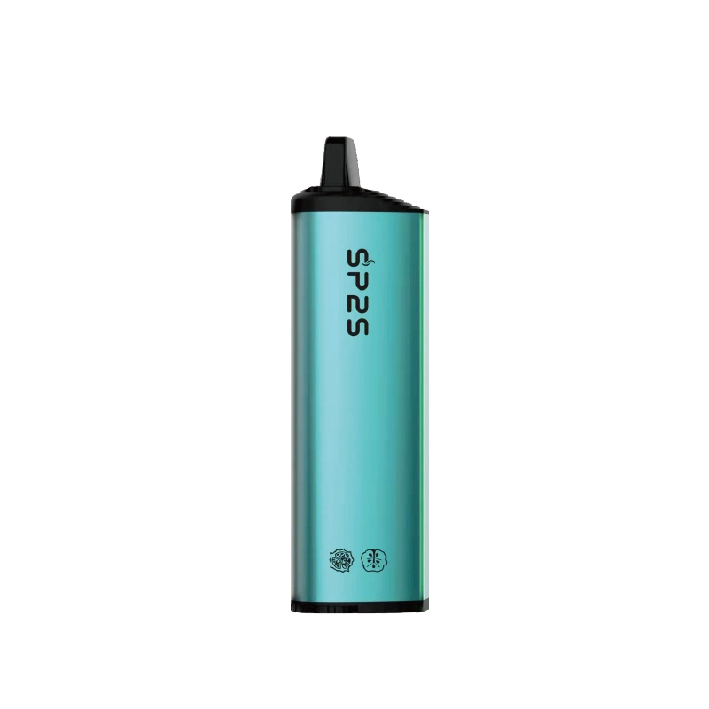 Sp2s 10ml E-Liquid 6000puffs Disposable Vape Rechargeable Electronic Cigarette