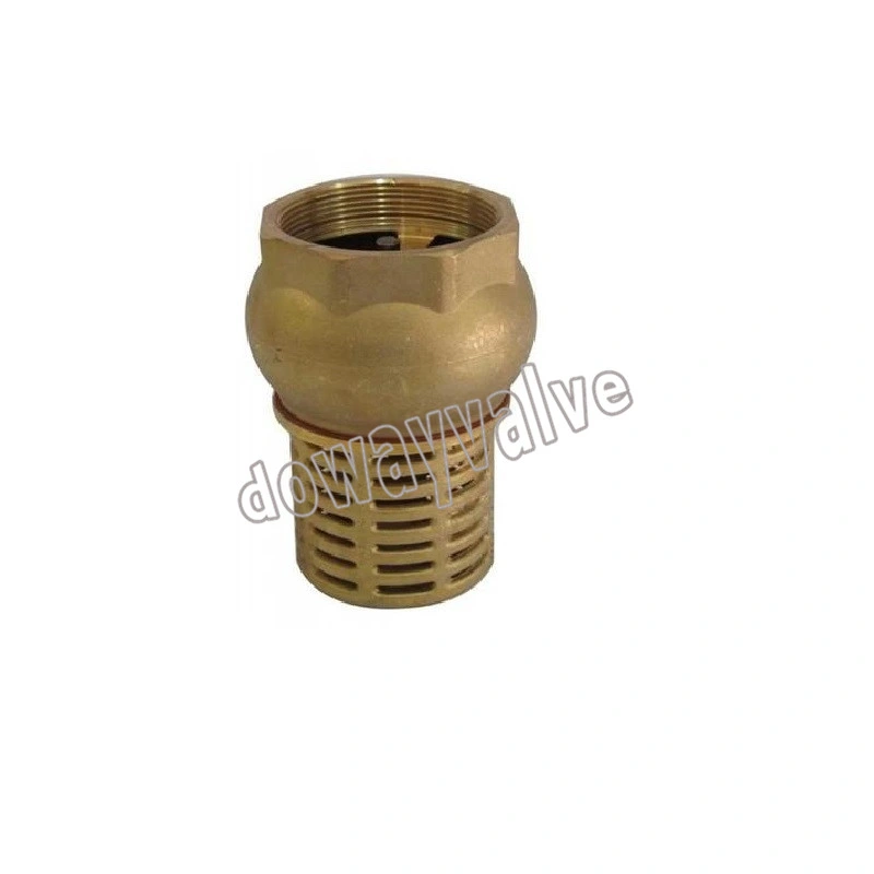 China Factory Customized Hot Forgen DN 15 to DN 100 with Brass Filter Brass Foot Valve