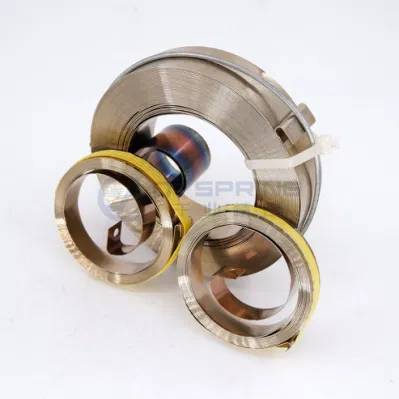 Qianye OEM Fabrik Edelstahl Feder Power Spring