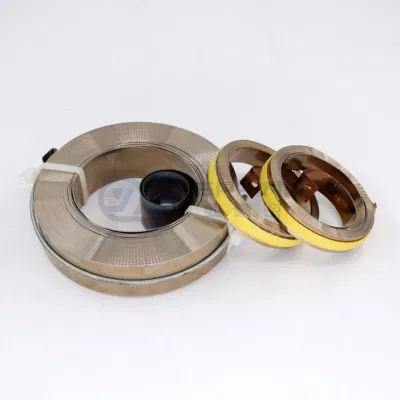Qianye OEM Fabrik Edelstahl Feder Power Spring