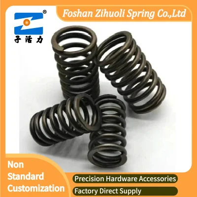 Fabrik Customized Elektrophorese Prozess Carbon Compression Metal Spring