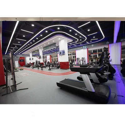 Handgreifer Arm Zugstange Gewicht Exerciser mit 5 Federn