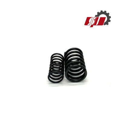 Zs1115 Auslassventilfeder für einen Dieselmotor, Motorrad-Teile, Auto-Teil
