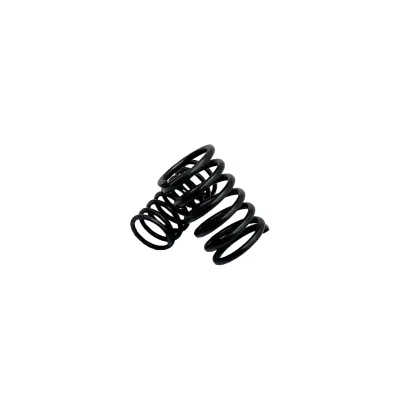 Zs1115 Auslassventilfeder für einen Dieselmotor, Motorrad-Teile, Auto-Teil