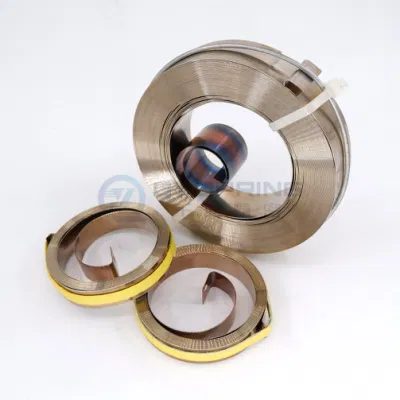 Qianye OEM Fabrik Edelstahl Feder Power Spring