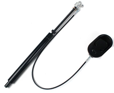 Taste billiger steuerbar Pneumatic einstellbare Verriegelung Gasfeder 60n für Sofa und Bett