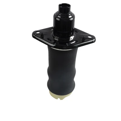 Hochwertige Audi A6 C5 Auto Teile Hinterrad Luftfederung Frühling 4z7513032A 4z7616052A Made in China