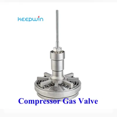 Methan Gas Compressor Natural Compressor Metallplatten Ventile Federdruck Reduzieren Des Ventils
